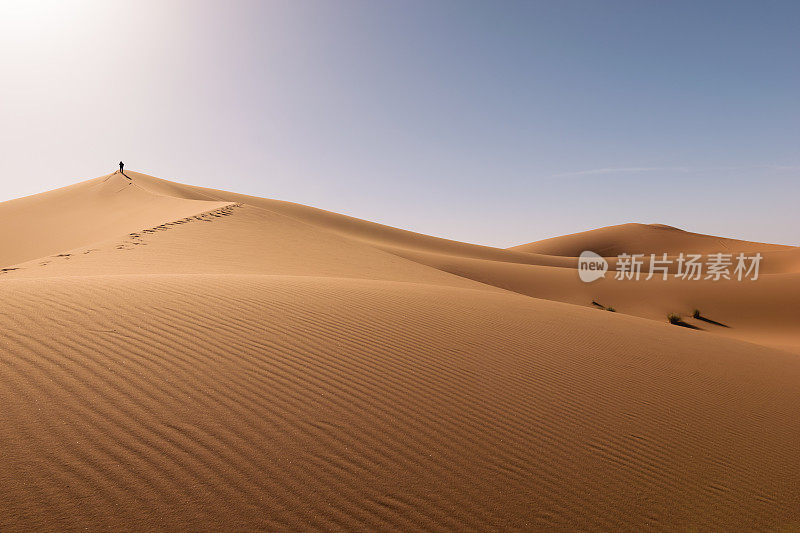 沙丘Erg Chebbi沙漠，撒哈拉，Merzouga，摩洛哥